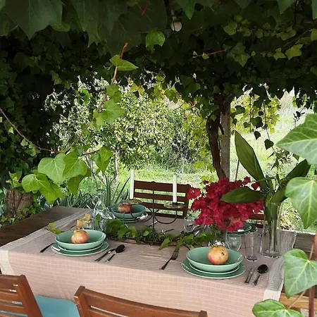 Paci Дом отдыха